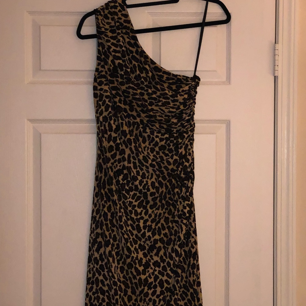 Lauren Ralph Lauren Animal Print Dress